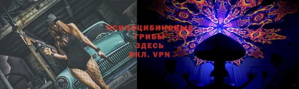 каннабис Верея